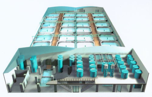 這屆年輕人的海鮮自由,靠的是海里的 智能工廠