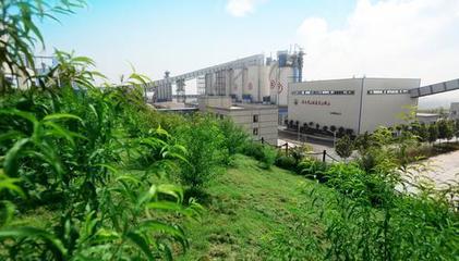 一砂一世界 千業千般美