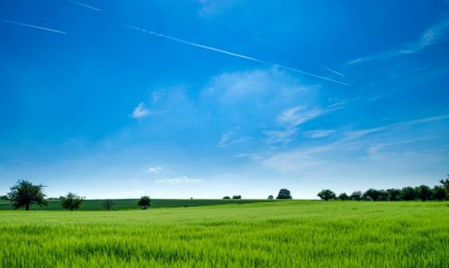 科米龍空氣凈化器 尋回大自然的味道